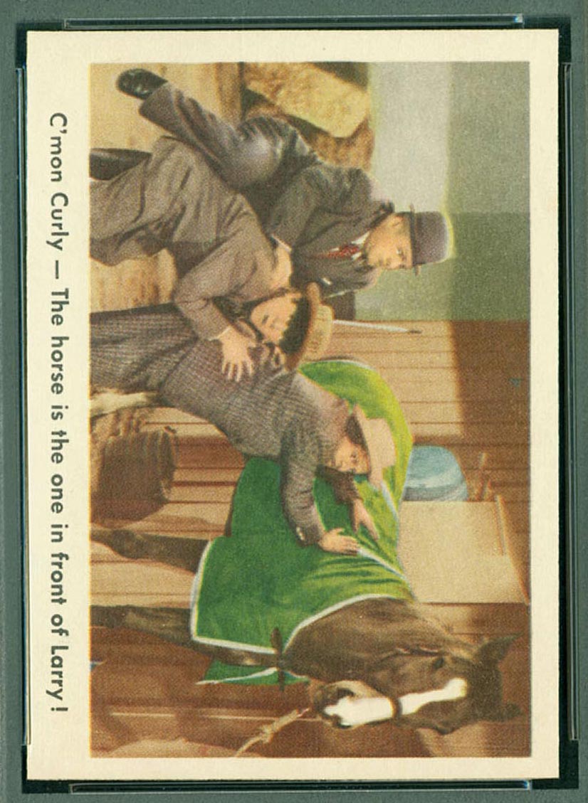 1959 Fleer Three Stooges #13 Which is the horse - Front