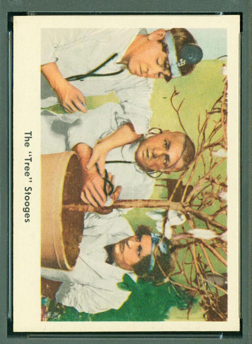 1959 Fleer Three Stooges #26 The “tree” Stooges - Front