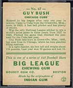 1933 Goudey #67 Guy Bush Chicago Cubs - Back